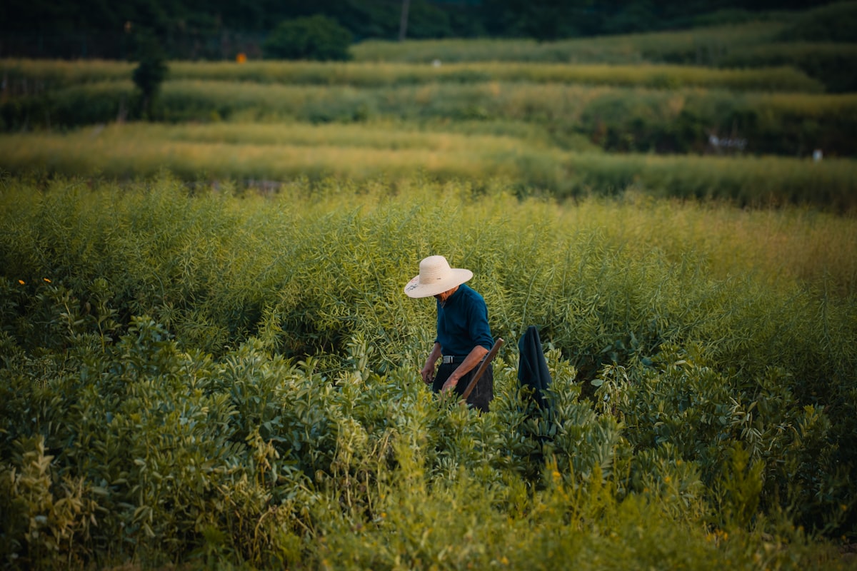 Agriculture